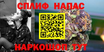 молекула духа Волжский
