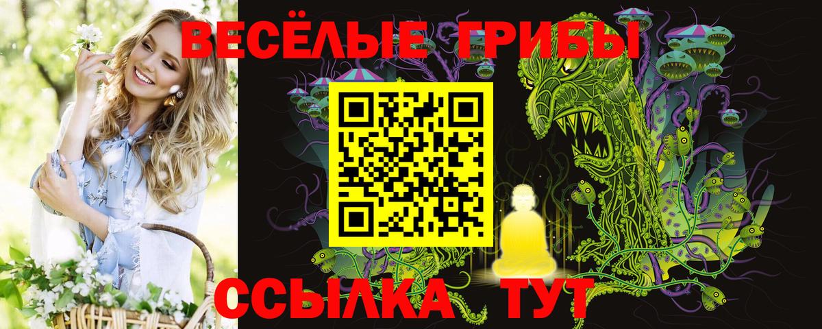 Галлюциногенные грибы Cubensis Жуковский