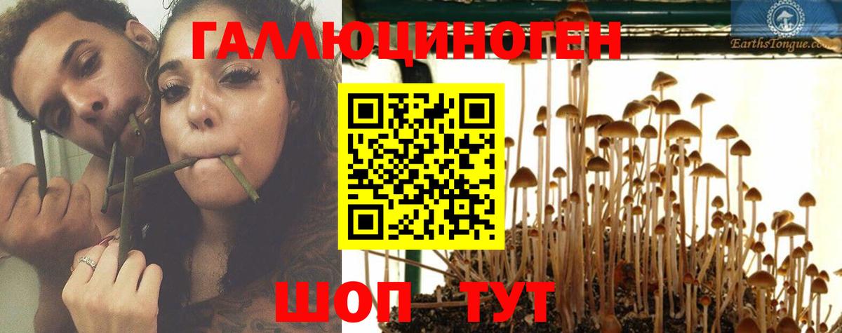 Жуковский  Галлюциногенные грибы Magic Shrooms  Вход с VPN 